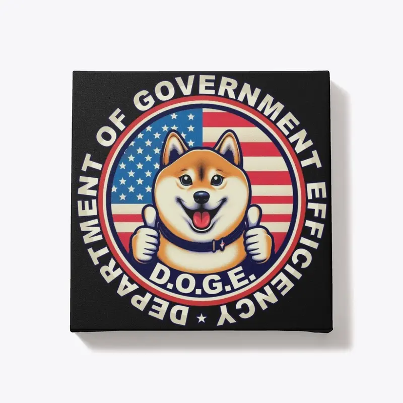 DOGE Department Of Government Efficiency